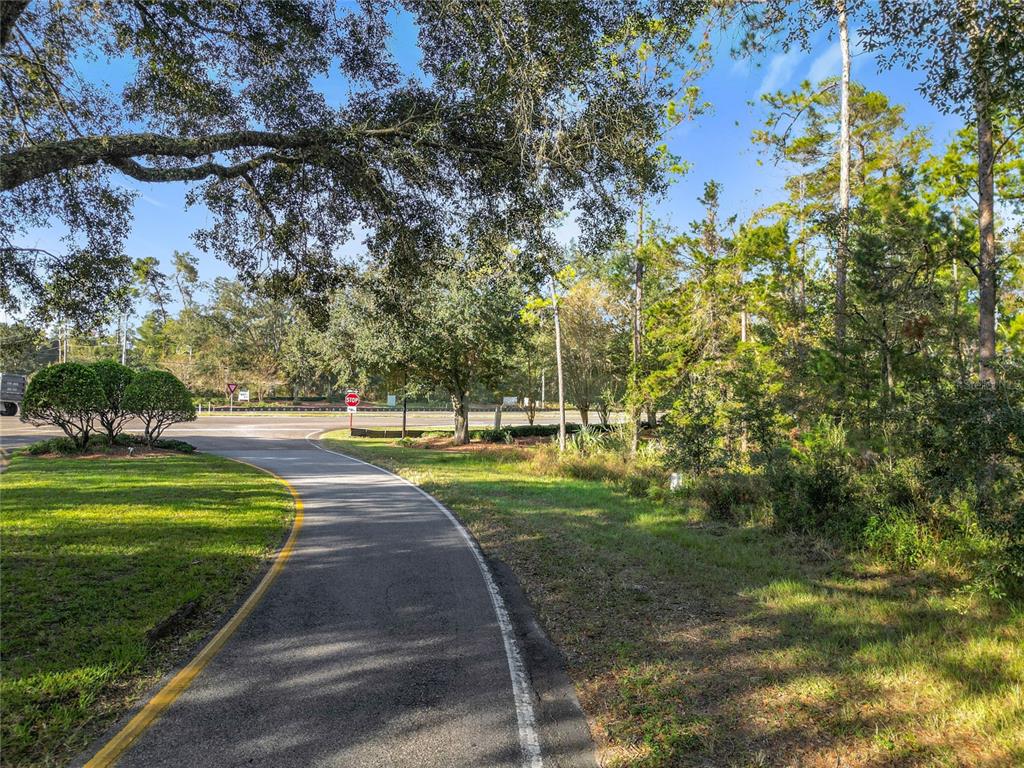 A paved path curves through a grassy area toward a road with a stop sign — 1 OAK VILLAGE BOULEVARD, HOMOSASSA, FL