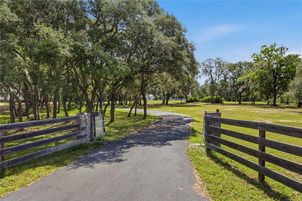 A paved driveway leads through an open wooden gate into a tree-lined grassy yard — 6175 S CANNA LILY AVENUE, HOMOSASSA, FL