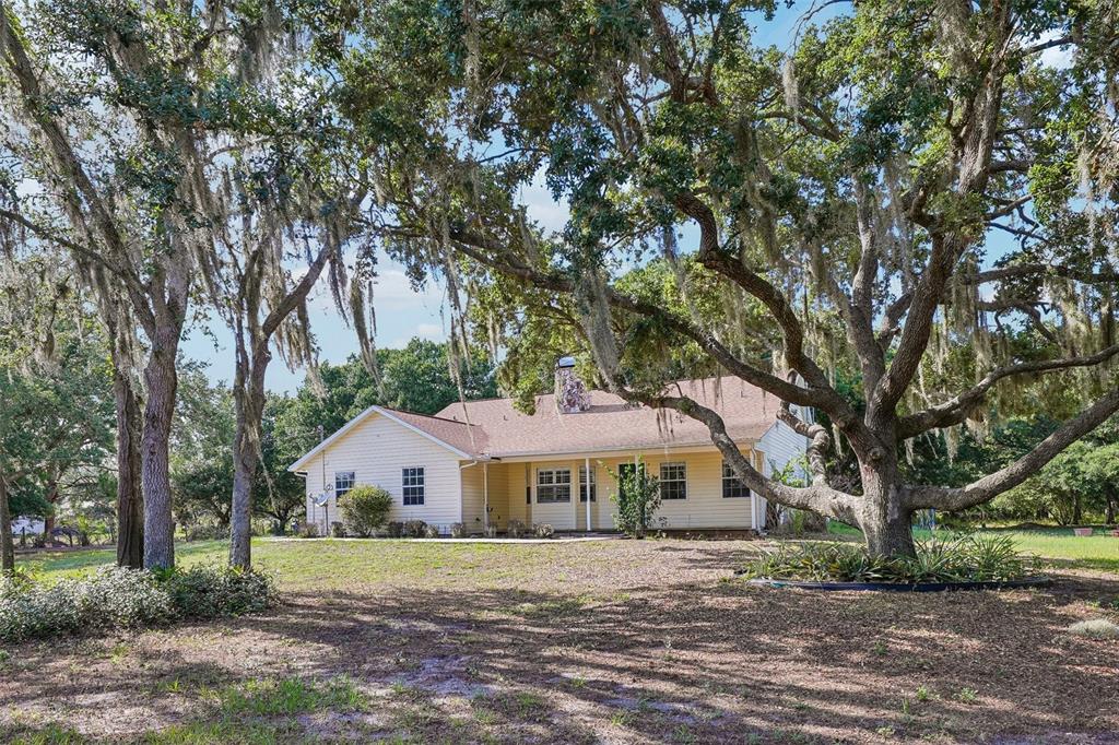 A light-colored, single-story house sits on a grassy lot shaded by large, moss-covered oak trees — 204 JEFFERSON DRIVE, LAKE PLACID, FL