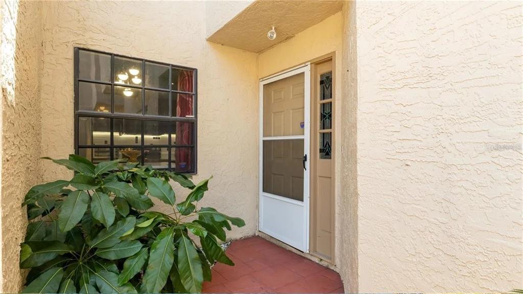 A front entryway with a white storm door, a window, and a potted plant — 10438 SAINT TROPEZ PLACE, TAMPA, FL