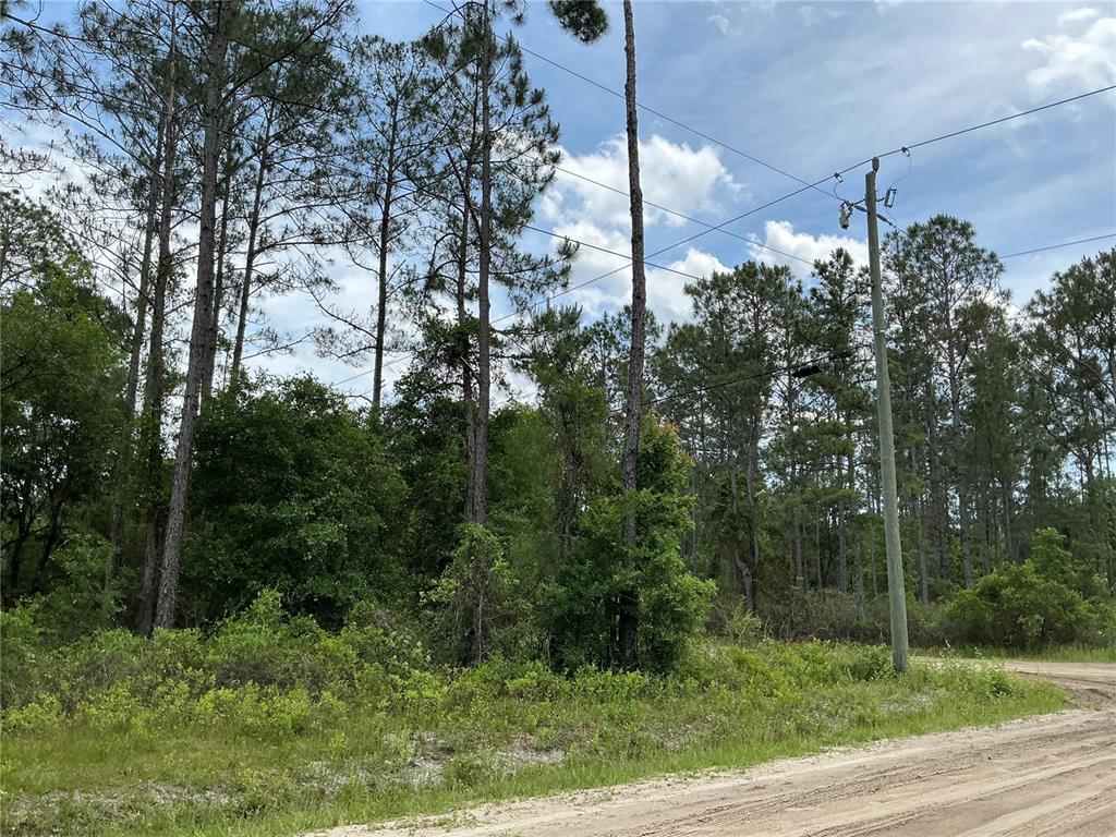 A dirt road runs alongside a wooded lot with tall pine trees and utility poles — 10730 BECKENGER AVENUE, HASTINGS, FL