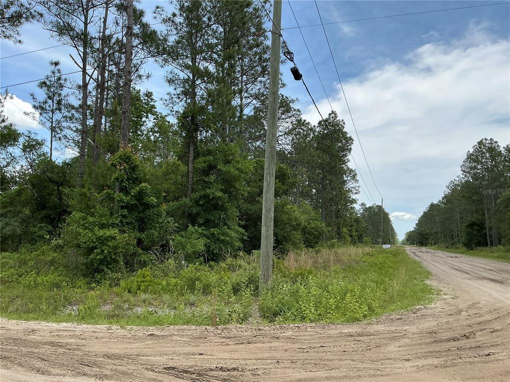 A dirt road runs alongside a wooded lot with a utility pole in the foreground — 10730 BECKENGER AVENUE, HASTINGS, FL