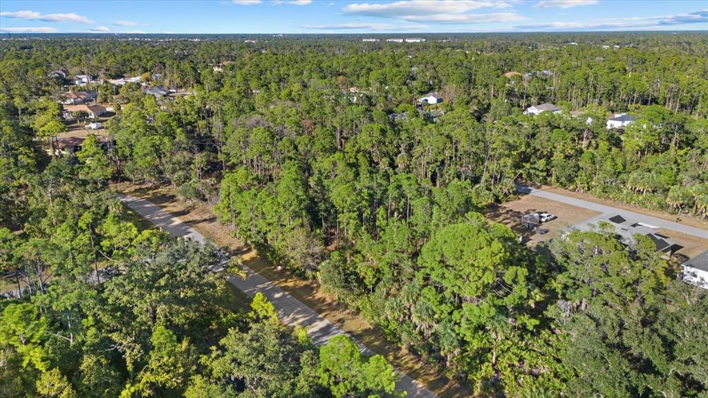 An aerial view shows a paved road winding through a dense, wooded residential area — 15074 CANNELL LANE, PORT CHARLOTTE, FL