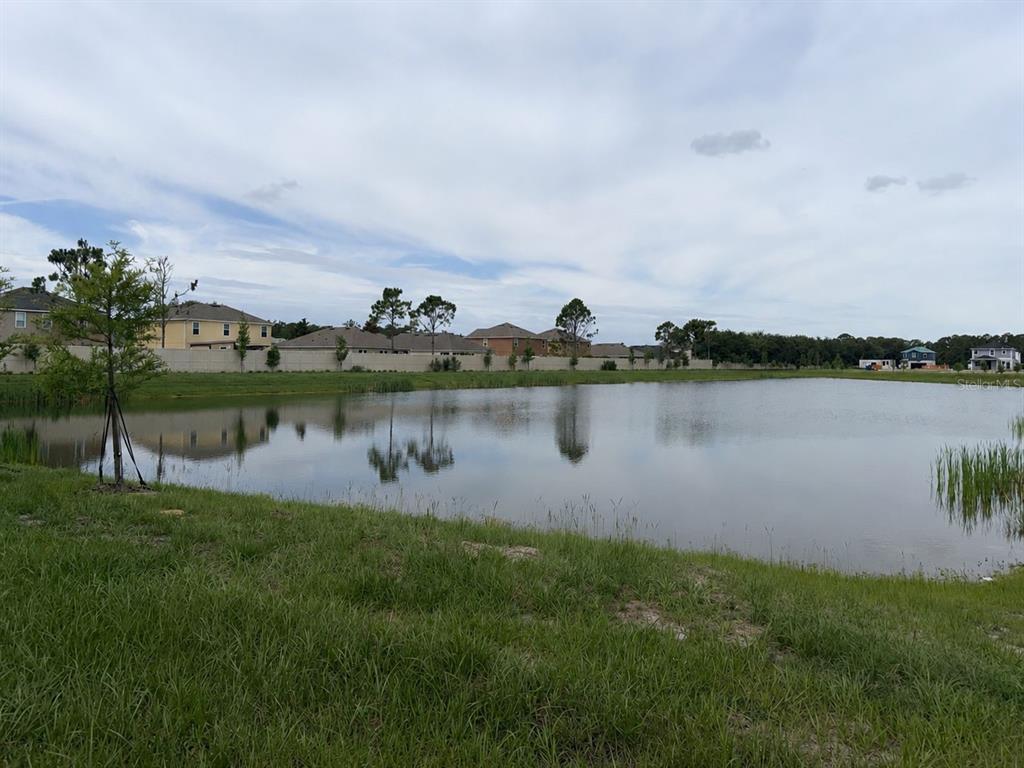 A view of a calm pond with a grassy bank and houses in the background — 2717 RAINDROP RUN STREET, CLERMONT, FL