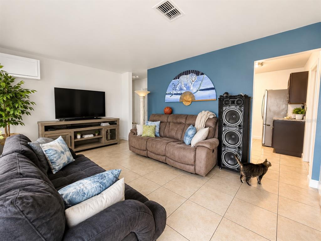 A living room features two sofas, a television on a console, and a cat walking nearby — 105 MARGARET STREET, AUBURNDALE, FL