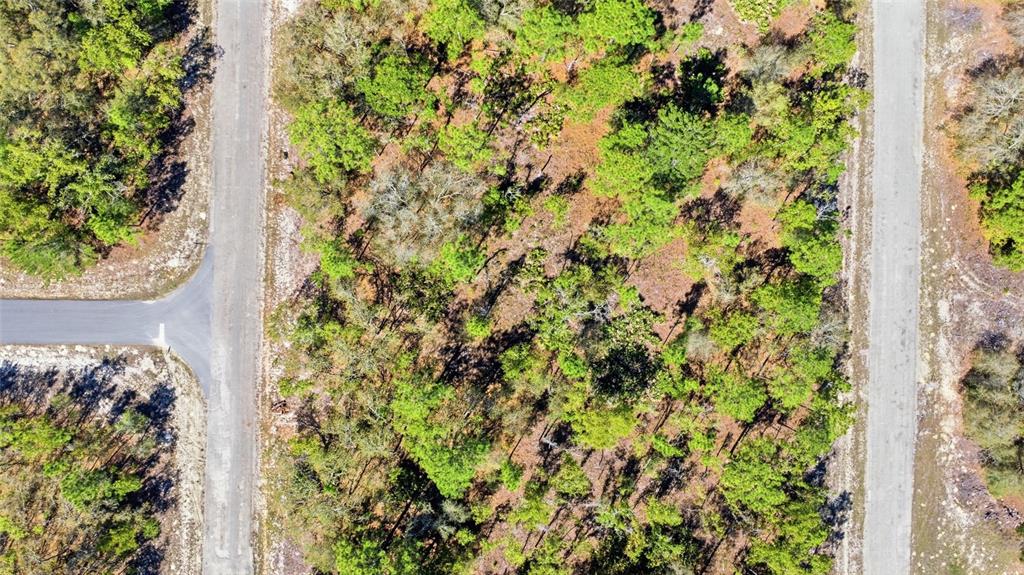 An aerial view shows a wooded, undeveloped rectangular lot situated between two paved roads — 1877 W PENDLETON STREET, DUNNELLON, FL