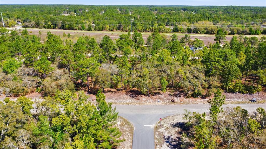 An aerial view shows a T-intersection of paved roads bordered by dense woods and trees — 1877 W PENDLETON STREET, DUNNELLON, FL