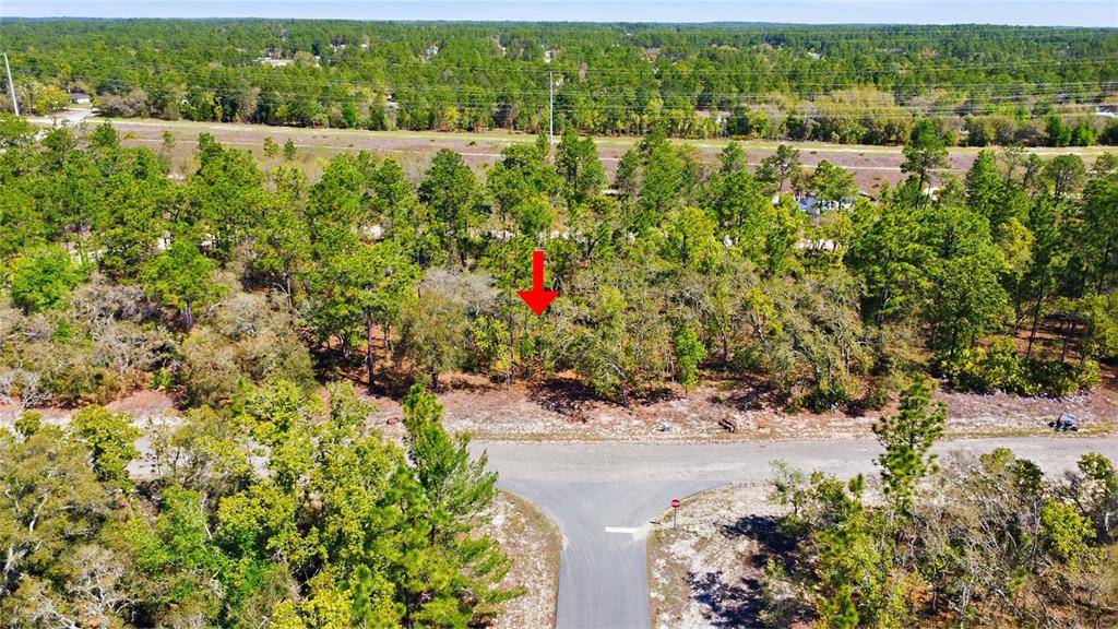 An aerial view shows a wooded, undeveloped lot with a red arrow pointing toward it — 1877 W PENDLETON STREET, DUNNELLON, FL