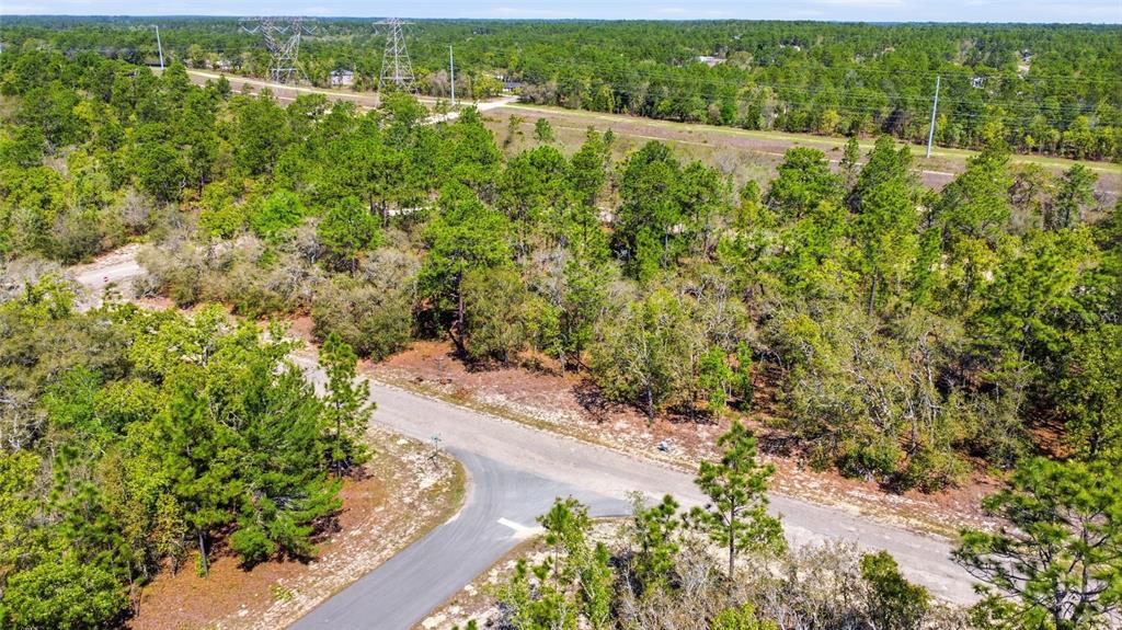 An aerial view shows a paved T-intersection surrounded by dense forest and power lines — 1877 W PENDLETON STREET, DUNNELLON, FL