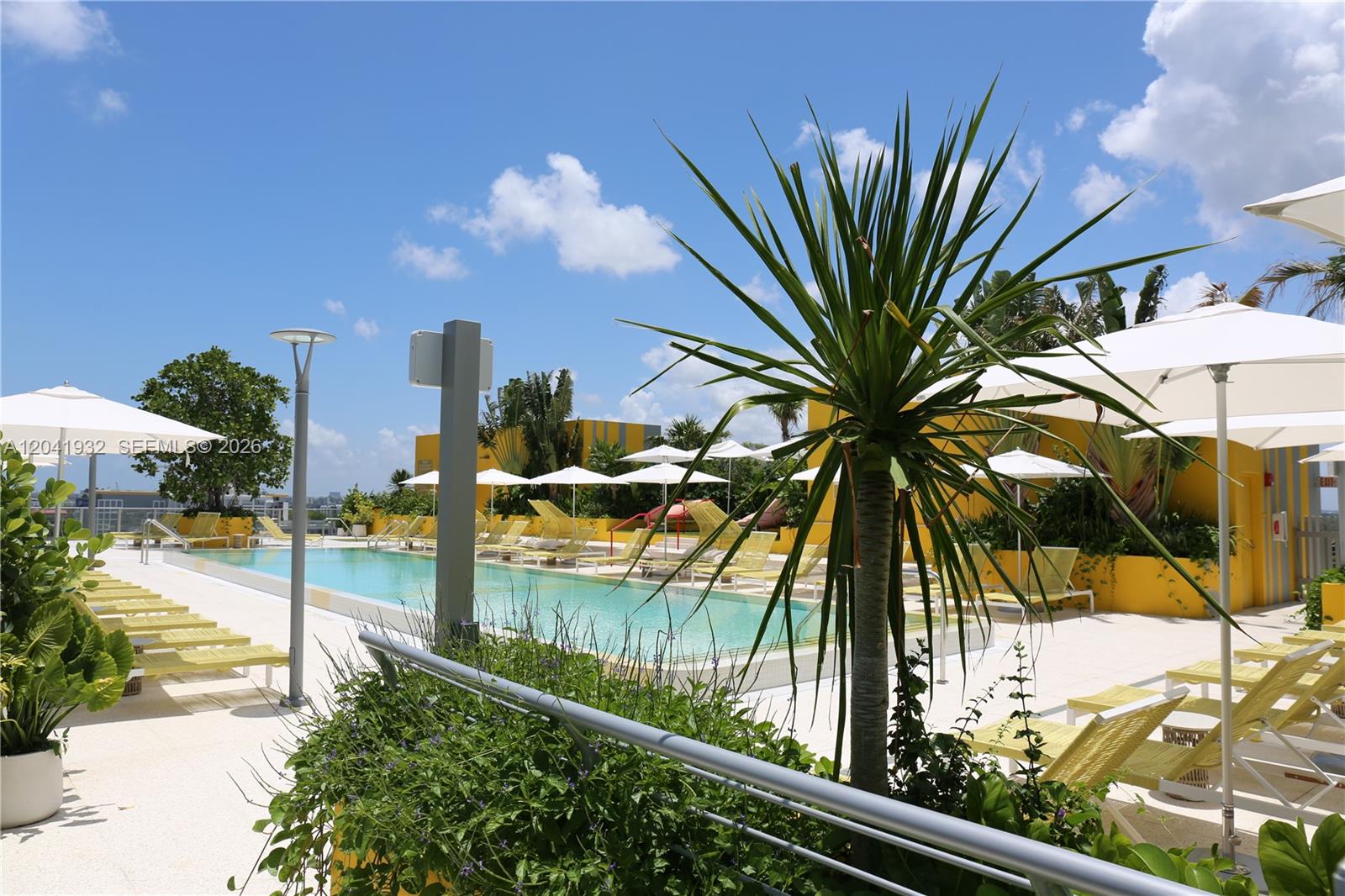 An outdoor swimming pool area features lounge chairs, white umbrellas, and tropical landscaping — 90 NE 32nd St # 802, Miami FL 33137, MIAMI, FL
