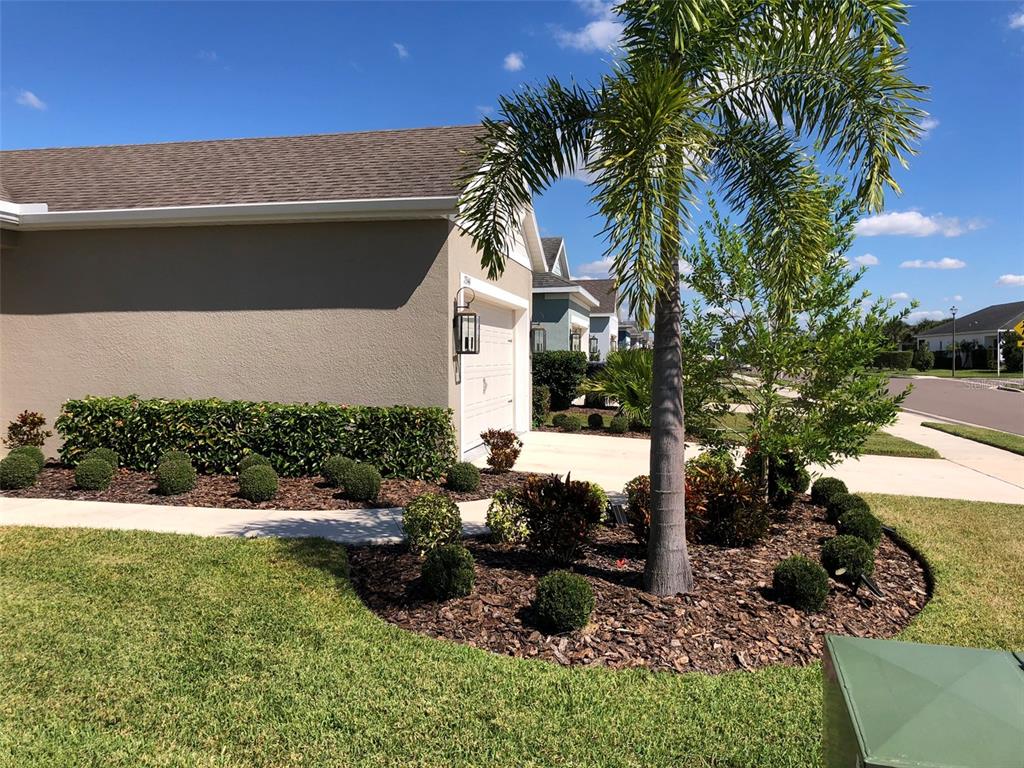 A tan house exterior features a palm tree, manicured shrubs, and a concrete driveway — 13544 OLD CREEK COURT, PARRISH, FL