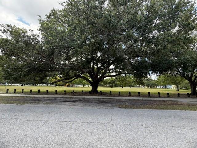A large, mature oak tree stands in a grassy park area behind a row of posts — 1006 W ADALEE STREET, TAMPA, FL