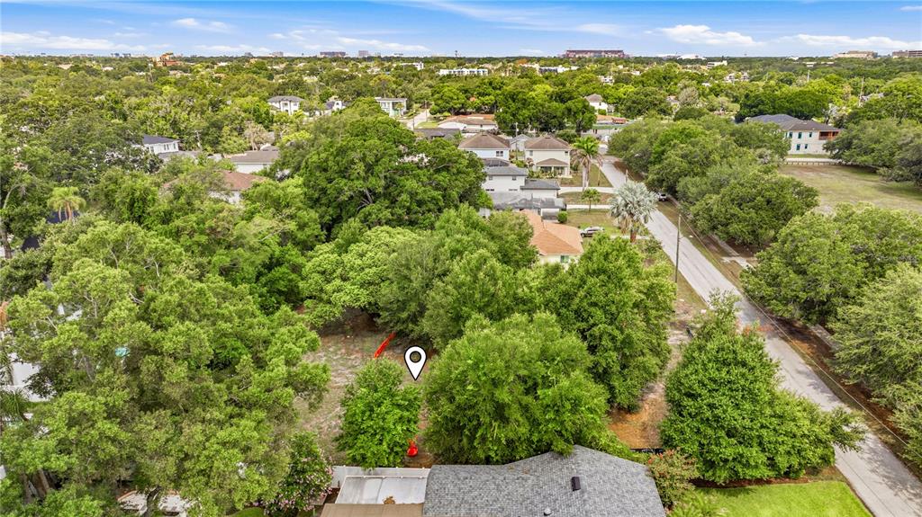 An aerial view shows a vacant, tree-filled residential lot next to a paved street — 1006 W ADALEE STREET, TAMPA, FL
