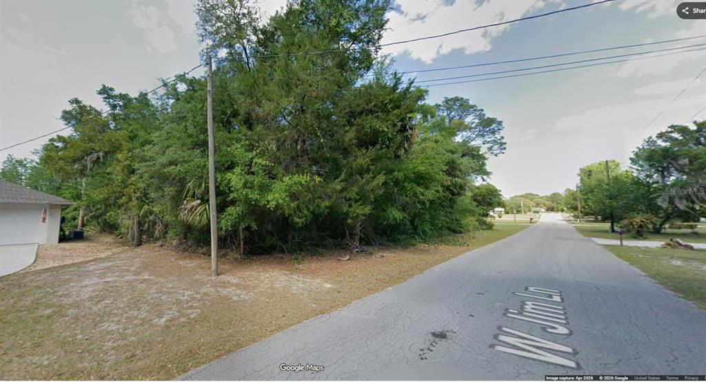 An empty, wooded residential lot sits at the corner of a paved street — 7601 W JIM LANE, CRYSTAL RIVER, FL