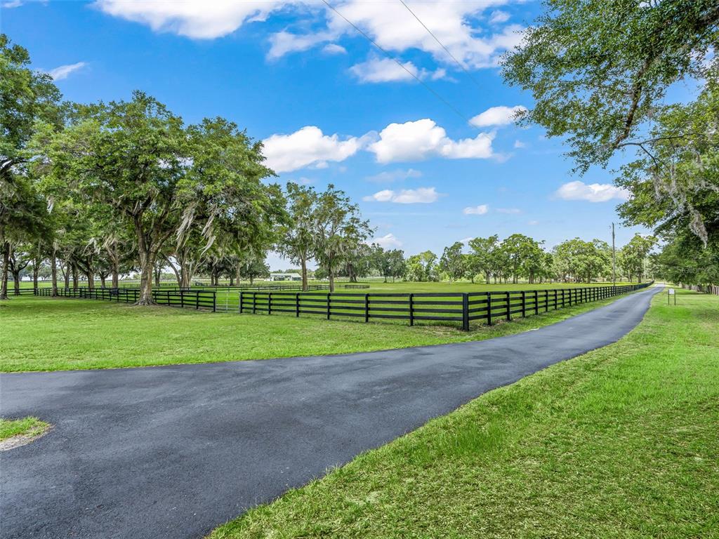 A paved driveway leads through a grassy field enclosed by black wooden fencing and trees — 12941 SW 8TH AVENUE, OCALA, FL
