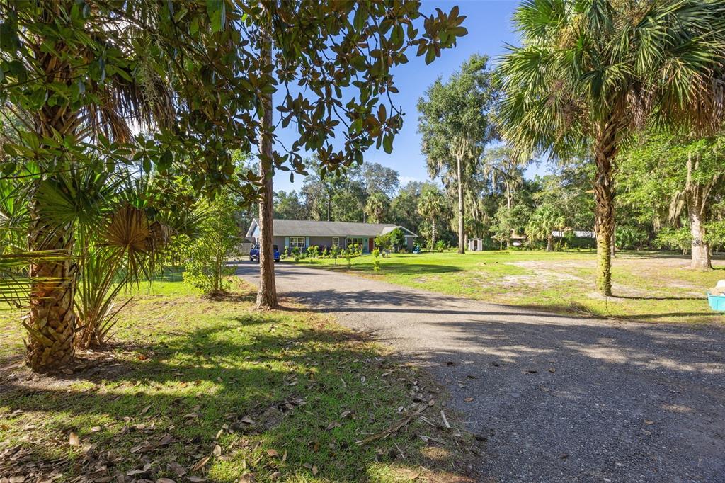 A gravel driveway leads to a single-story house surrounded by trees and a grassy yard — 121 HERJA ACRE LANE, PALATKA, FL