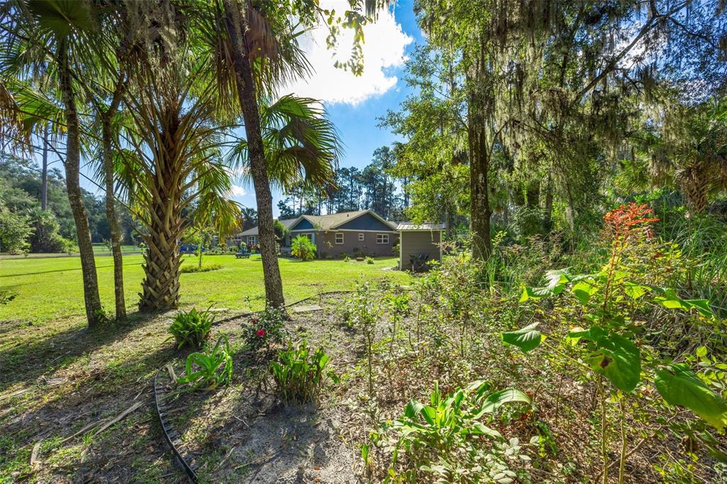 A grassy yard with palm trees leads to a single-story house and a small shed — 121 HERJA ACRE LANE, PALATKA, FL