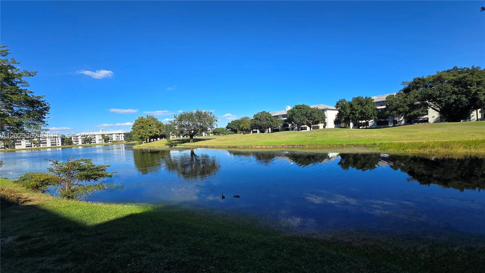 A pond sits in the foreground with a grassy hill and apartment buildings behind it — 9230 Lagoon Pl # 310, Davie FL 33324, DAVIE, FL