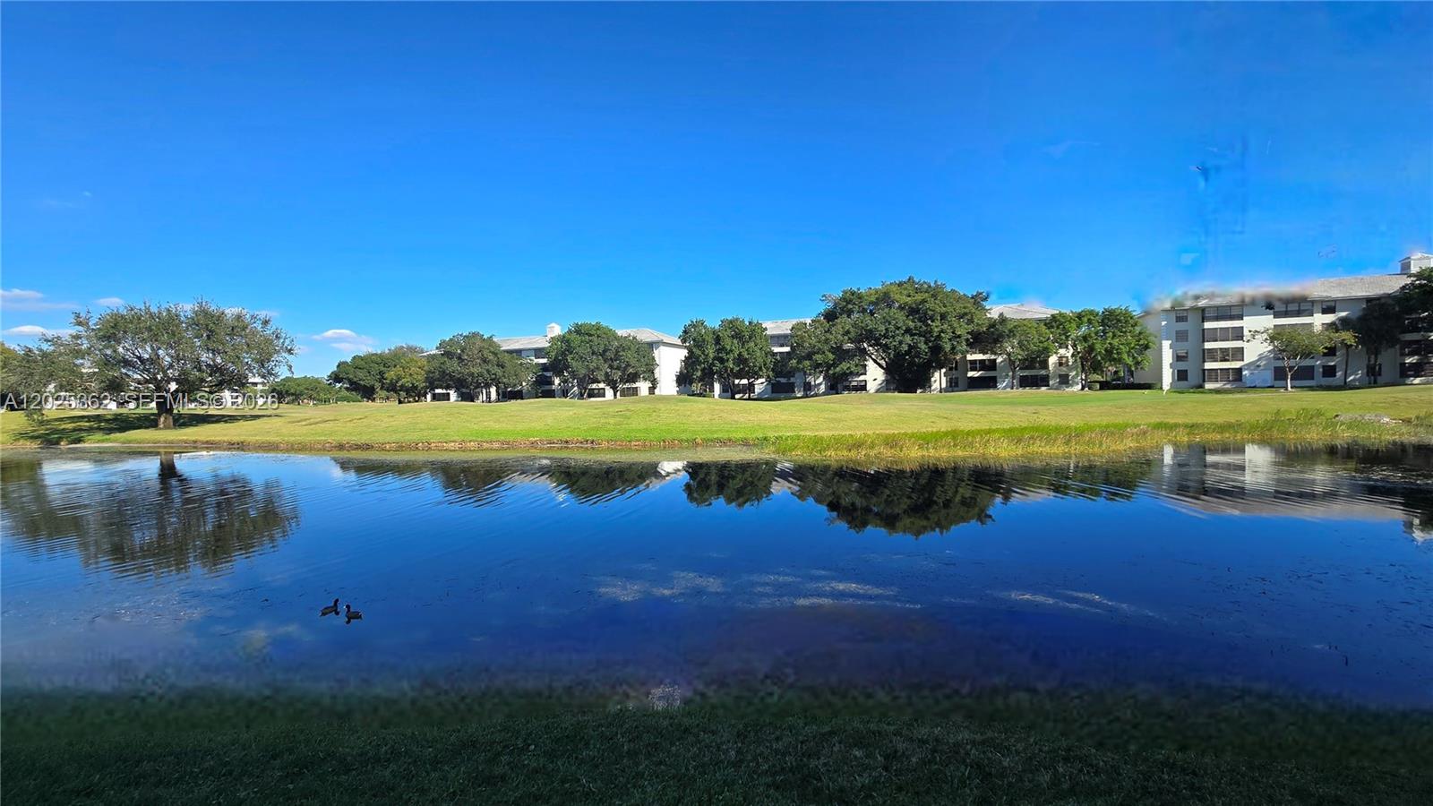 A pond reflects a grassy lawn and multi-story apartment buildings under a clear blue sky — 9230 Lagoon Pl # 310, Davie FL 33324, DAVIE, FL