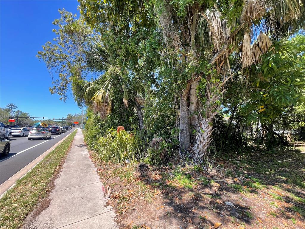 A sidewalk runs alongside a road with traffic next to a dense, tree-filled lot — 1519 MANATEE AVENUE E, BRADENTON, FL
