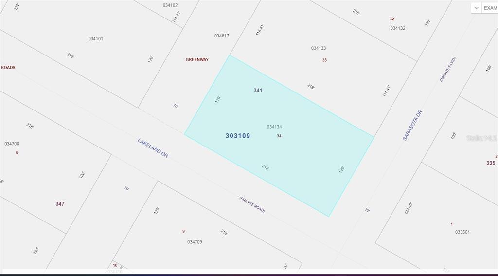 This is a property tax map showing parcel 303109 and its surrounding lots — LAKELAND DRIVE, INDIAN LAKE ESTATES, FL