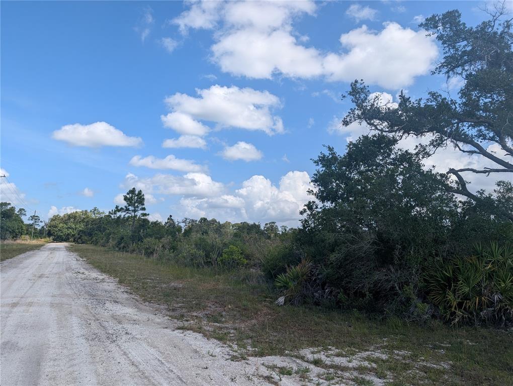 A dirt road runs alongside a wooded lot under a blue sky with white clouds — LAKELAND DRIVE, INDIAN LAKE ESTATES, FL