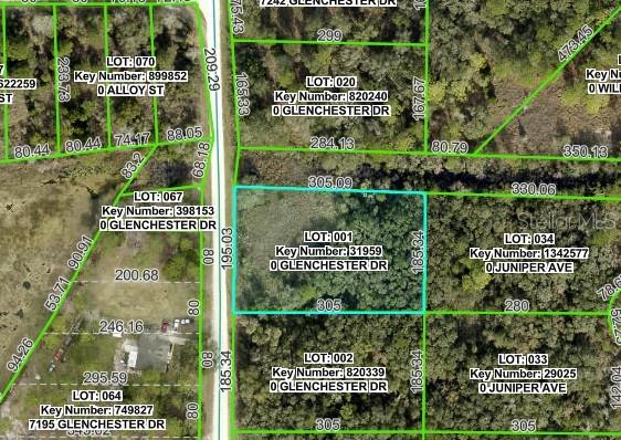 This is a satellite map showing property lot lines and parcel information for a residential area — 7222 GLENCHESTER DRIVE, WEBSTER, FL
