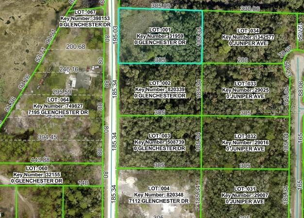 This is a map showing property lot lines and parcel information for a residential area — 7222 GLENCHESTER DRIVE, WEBSTER, FL