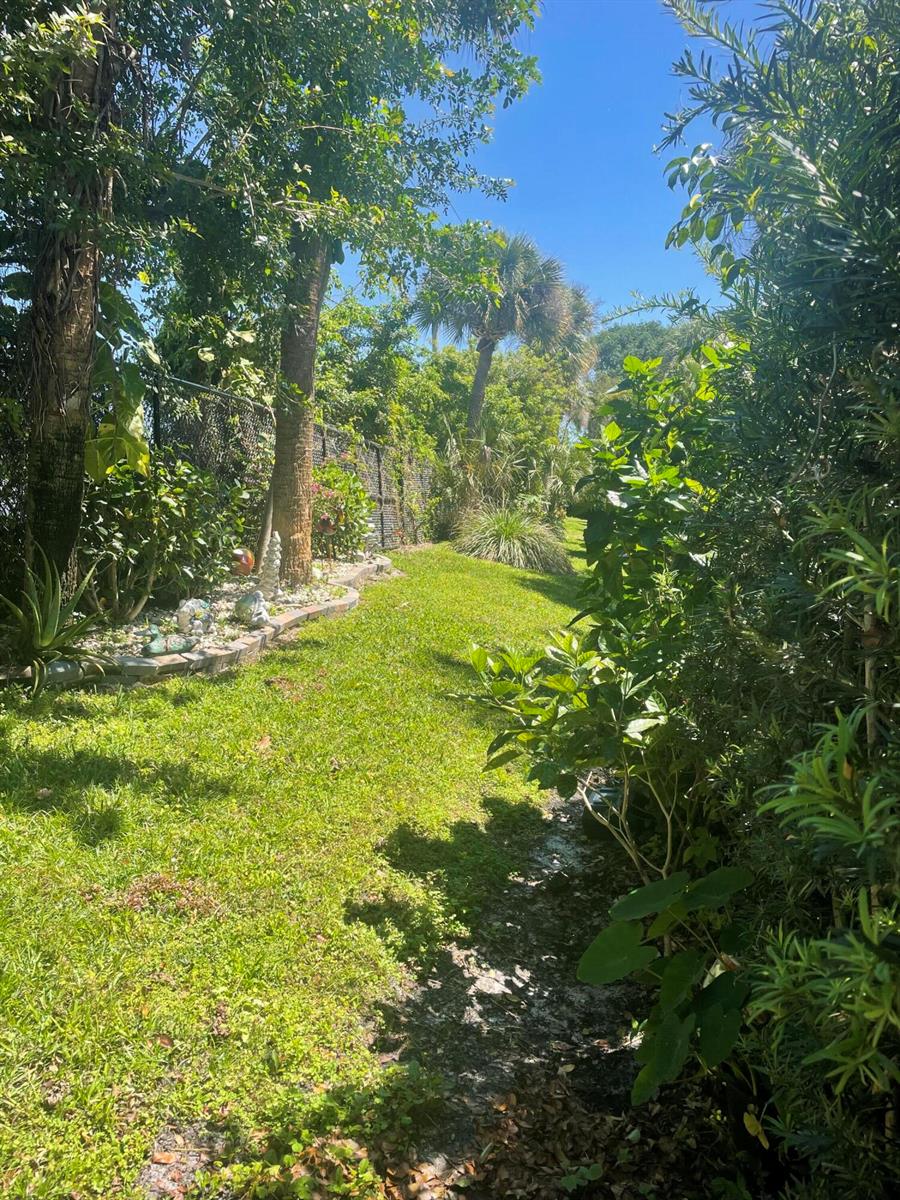 A grassy backyard path runs alongside a garden bed and a chain-link fence — 804 Summit Lake Drive, West Palm Beach FL 33406, WEST PALM BEACH, FL