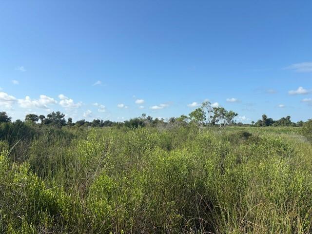 A wide, sunny field of green shrubs and grasses under a clear blue sky — 0 NW 316th Street, Okeechobee FL 34972, OKEECHOBEE, FL