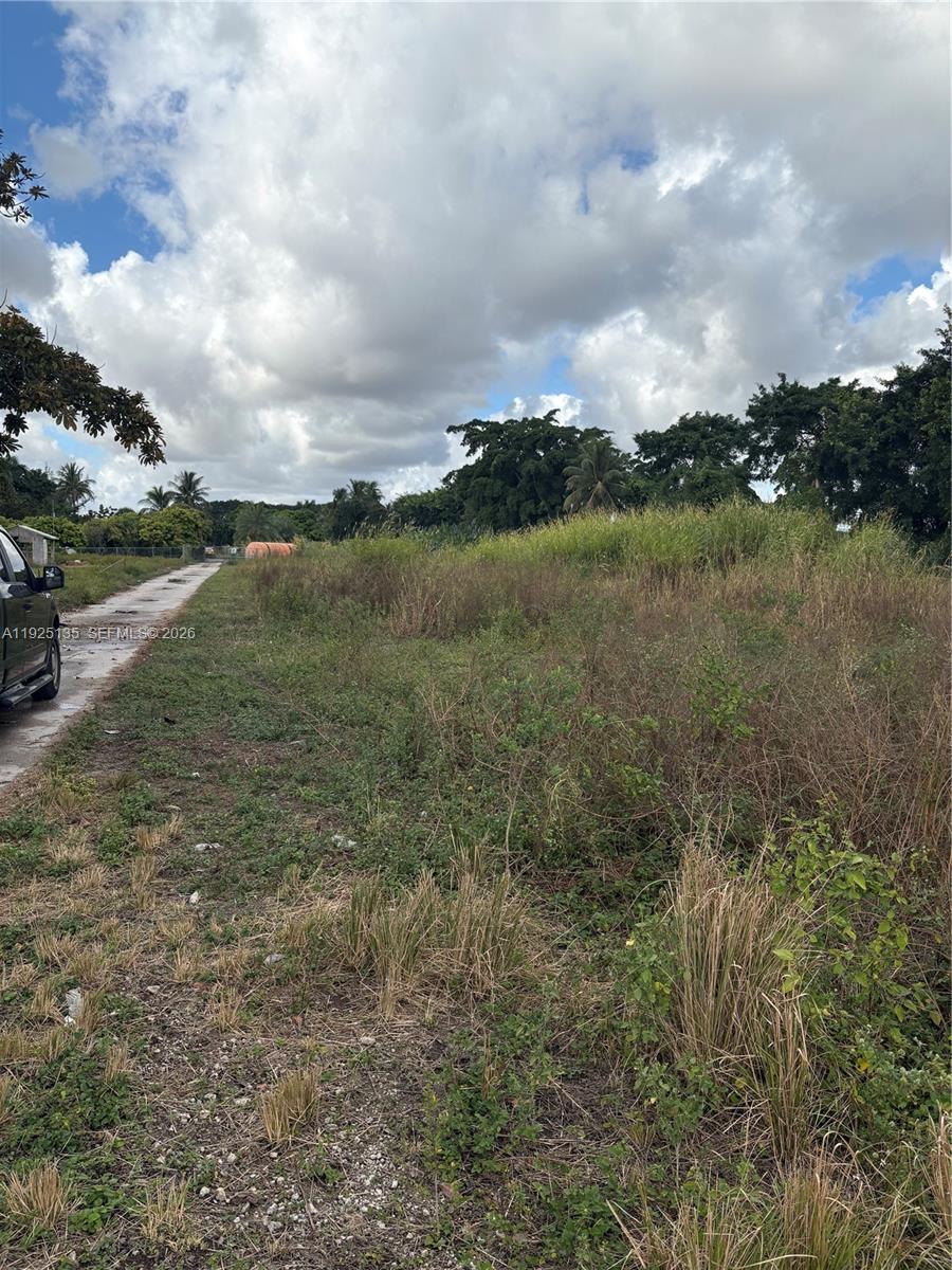 An overgrown vacant lot sits next to a narrow concrete driveway under a cloudy sky — Krome Avenue, Miami FL 33196, MIAMI, FL