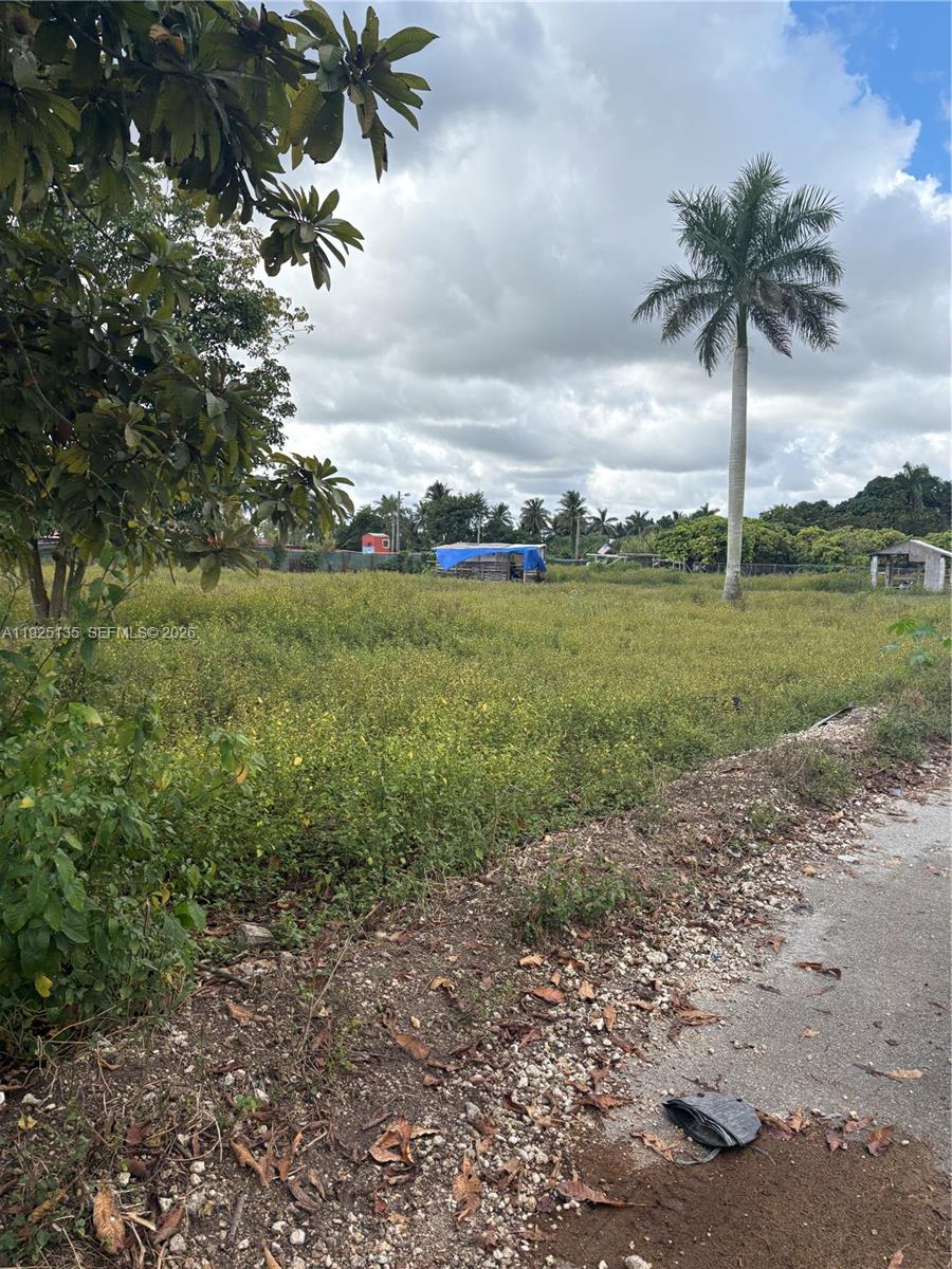 A vacant, grassy lot features a tall palm tree and a small, blue-tarped structure — Krome Avenue, Miami FL 33196, MIAMI, FL