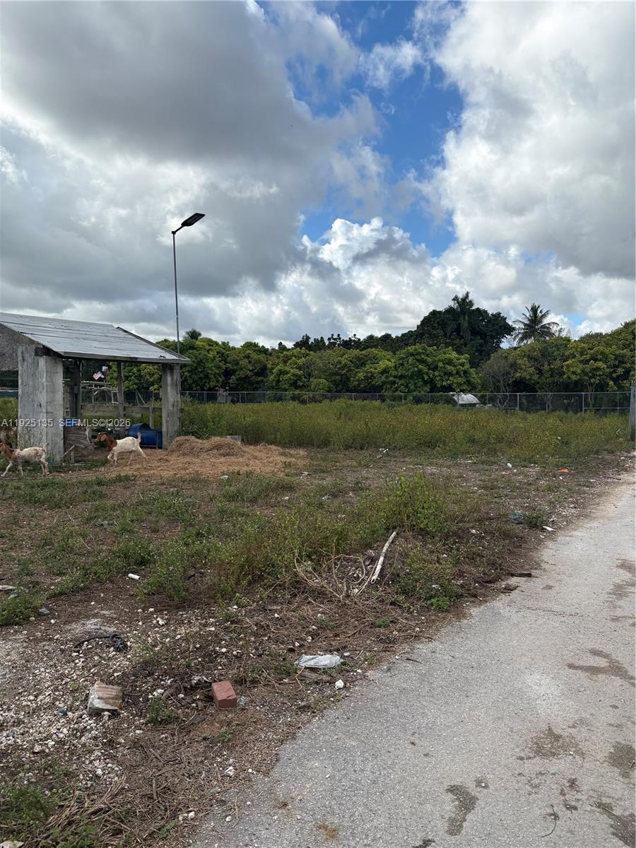 A vacant lot features a small open-sided shed and two goats under a cloudy sky — Krome Avenue, Miami FL 33196, MIAMI, FL
