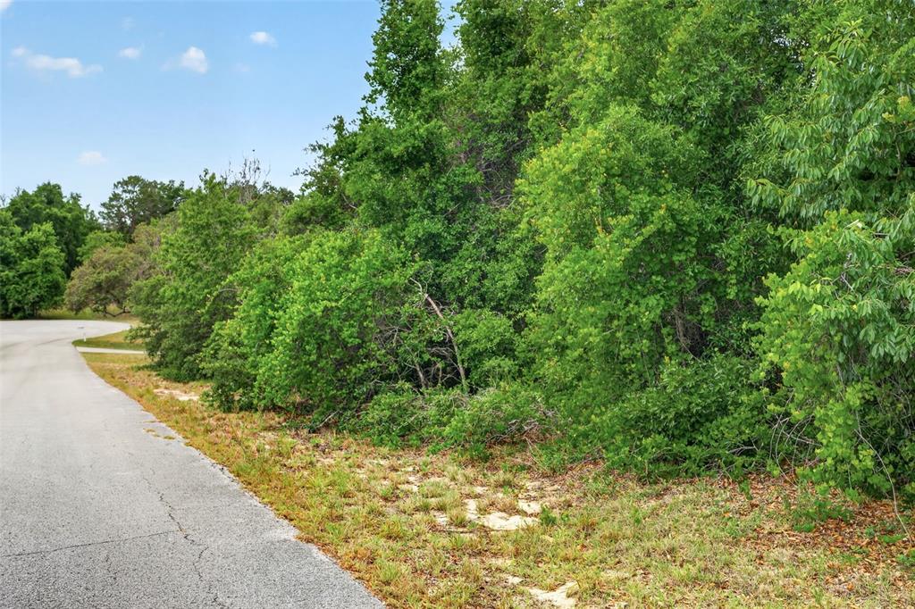 A paved road runs alongside a dense, wooded lot under a blue sky — 1642 S VALERIE POINT, INVERNESS, FL