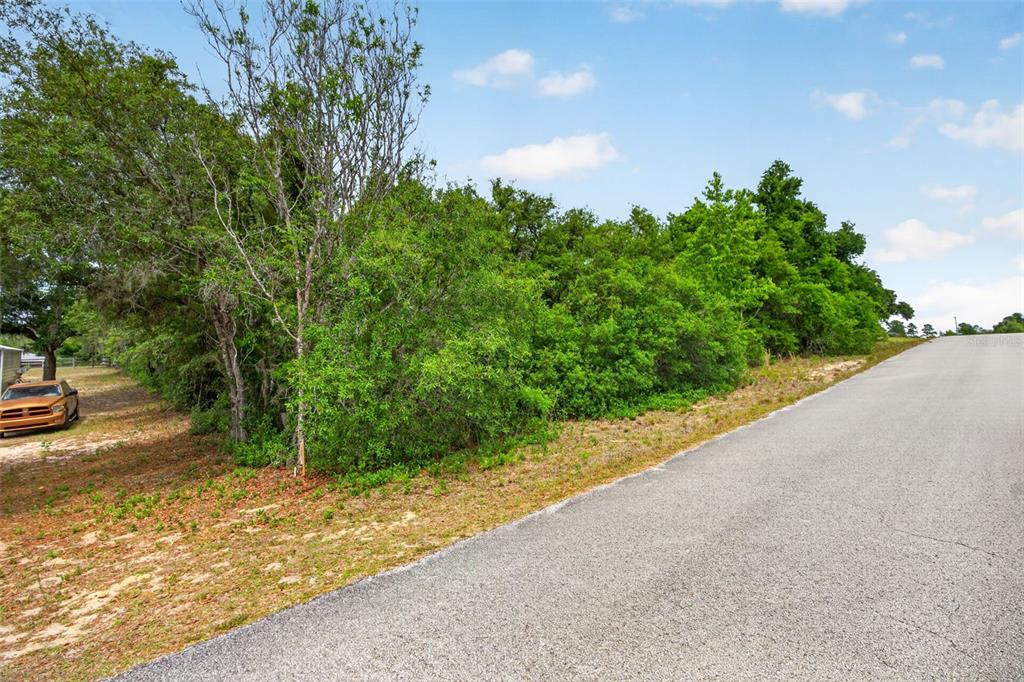A paved road runs alongside a wooded lot with a parked truck in the distance — 1642 S VALERIE POINT, INVERNESS, FL