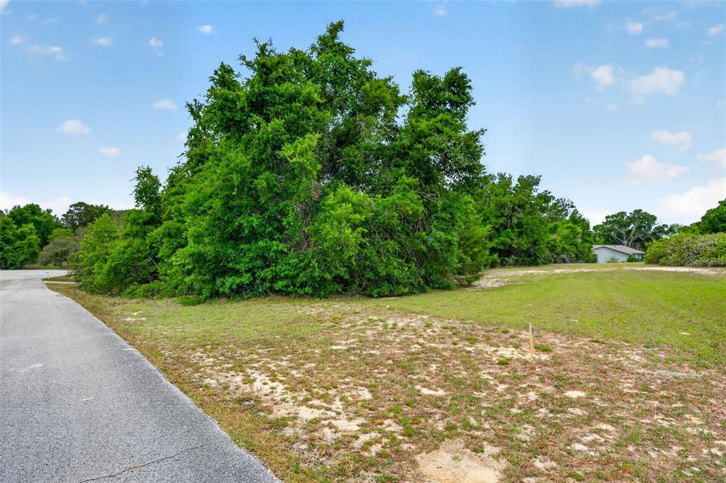 A paved road runs alongside a grassy, partially wooded vacant lot under a blue sky — 1642 S VALERIE POINT, INVERNESS, FL