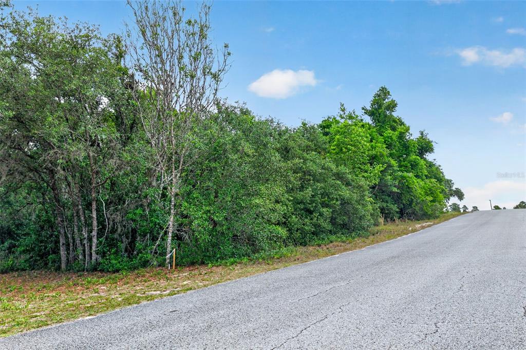 A paved road runs alongside a densely wooded, undeveloped lot under a blue sky — 1642 S VALERIE POINT, INVERNESS, FL