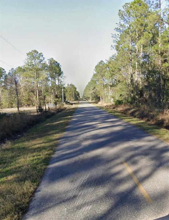 A paved road stretches into the distance, flanked by tall pine trees and grassy shoulders — 9930 CROTTY AVENUE, HASTINGS, FL