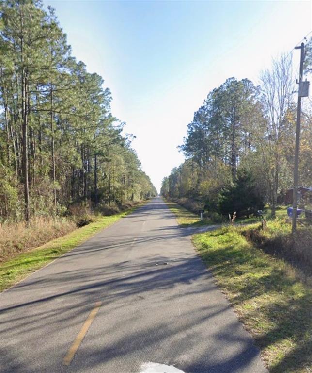 A paved road stretches into the distance, flanked by tall pine trees and grassy shoulders — 9930 CROTTY AVENUE, HASTINGS, FL