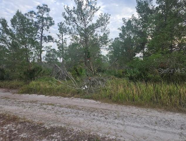 A dirt road runs along the edge of a wooded lot with tall pine trees — 2217 ALGONQUIN DRIVE, SEBRING, FL