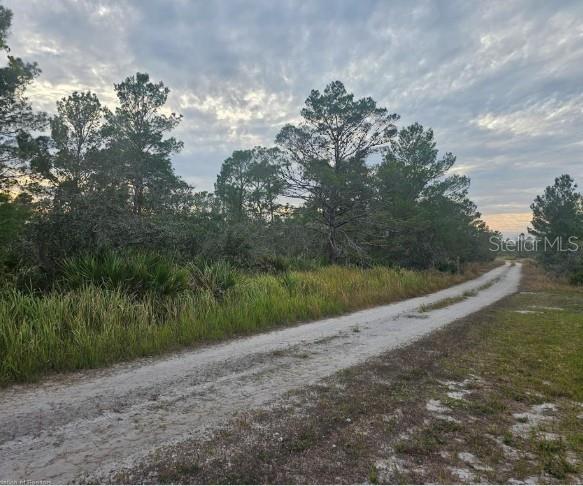 A dirt road runs alongside a wooded area with tall pine trees and tall grass — 2217 ALGONQUIN DRIVE, SEBRING, FL
