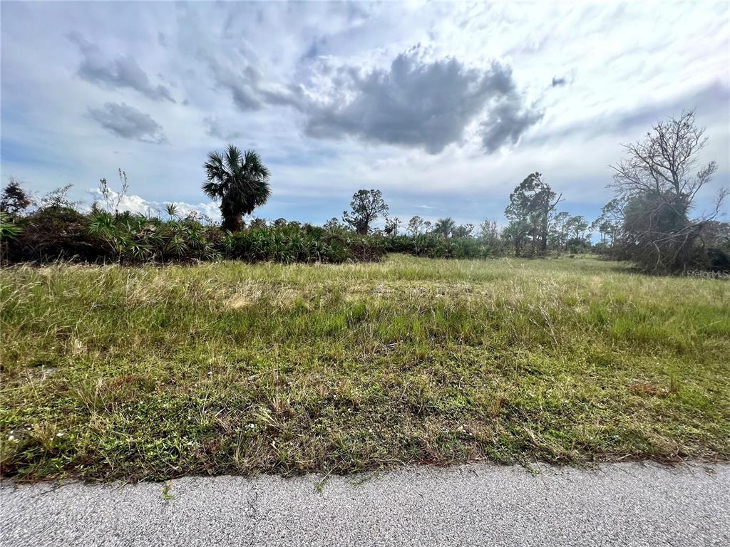 A grassy, undeveloped lot features scattered trees and shrubs under a cloudy sky — 27 DORISAN COURT, PLACIDA, FL