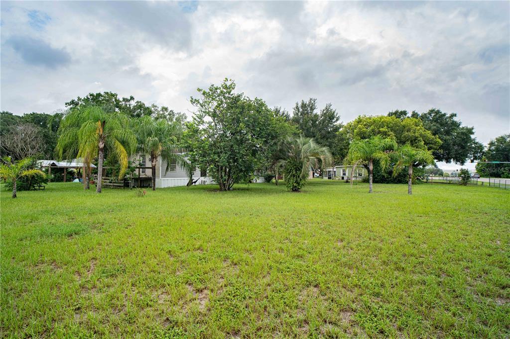 A grassy yard features several palm trees and a mobile home under a cloudy sky — 2014 GUNN HIGHWAY, ODESSA, FL