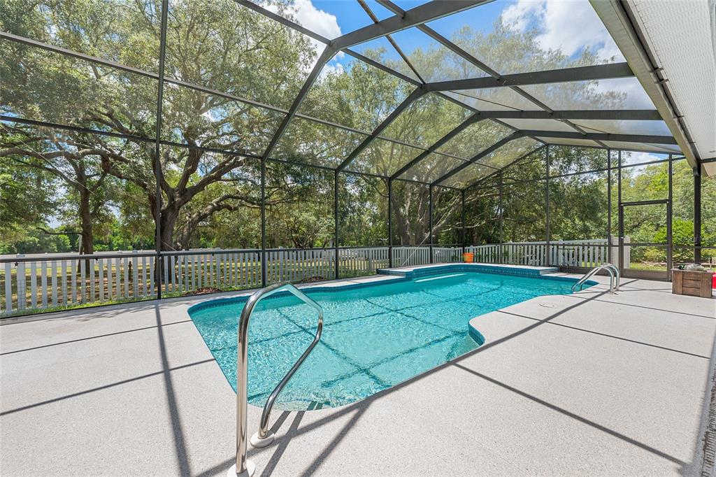 A screened-in swimming pool with a concrete deck sits in a backyard with large trees — 4611 N RUSHMORE LOOP, BEVERLY HILLS, FL
