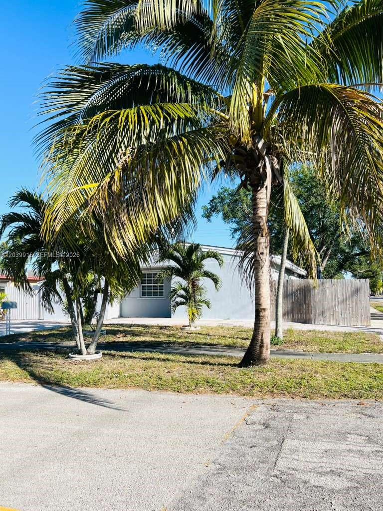 A single-story house with a light-colored exterior is partially obscured by several palm trees — 6801 Park St # 6801, Hollywood FL 33024, HOLLYWOOD, FL