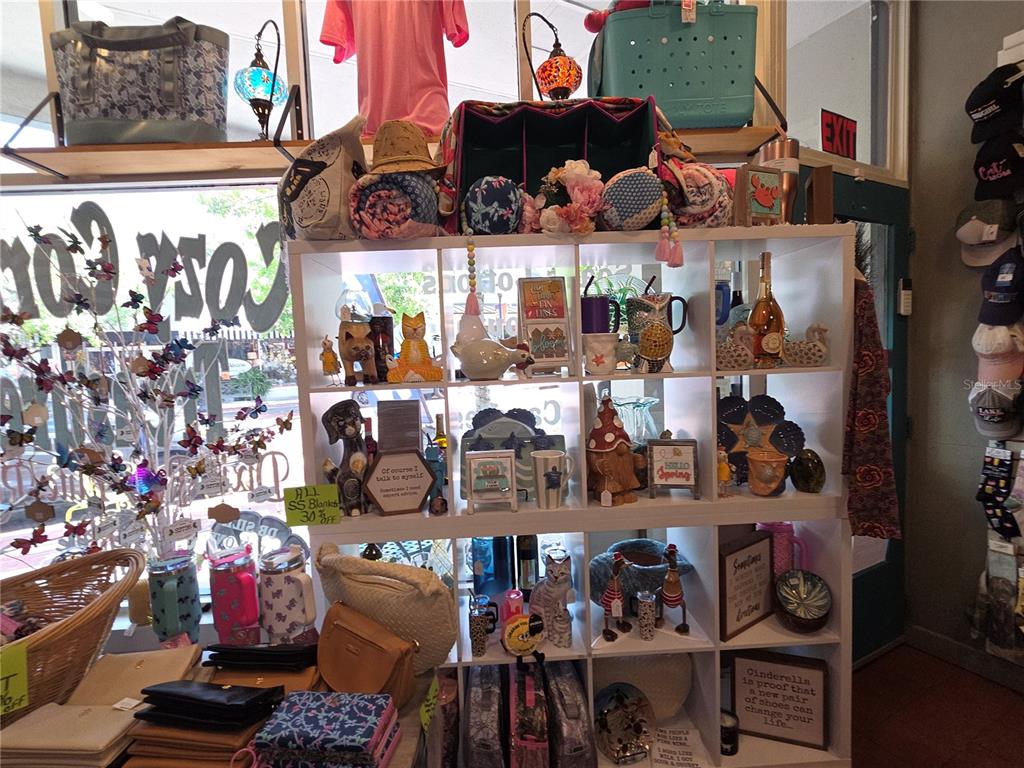 A retail shop features a blue sofa, metal wall art, and shelves filled with potted succulents — 30 E MAGNOLIA AVENUE, EUSTIS, FL