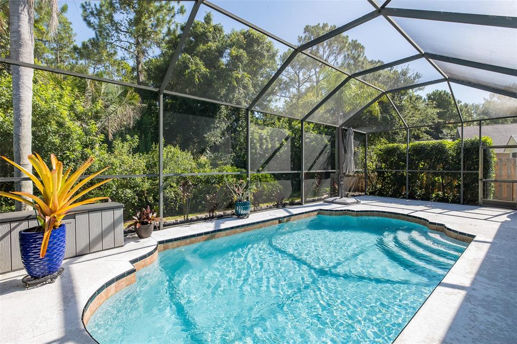 A screened-in swimming pool with a patio and lush green trees in the background — 12709 WESTWOOD LAKES BOULEVARD, TAMPA, FL