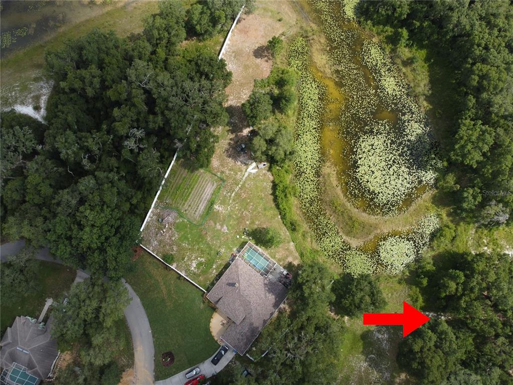 Aerial view of a house with a pool, garden, and pond on a wooded lot — 5078 WESTLAKE BOULEVARD, DADE CITY, FL