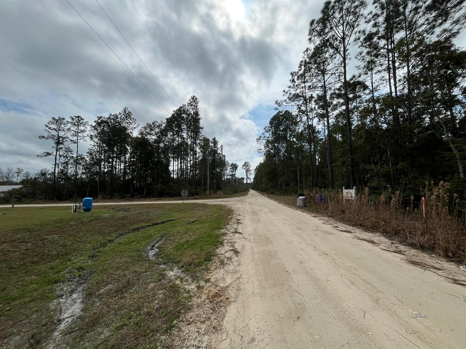 A dirt road leads to an intersection surrounded by tall pine trees under a cloudy sky — 215 Royal Avenue, FL 32148, FL