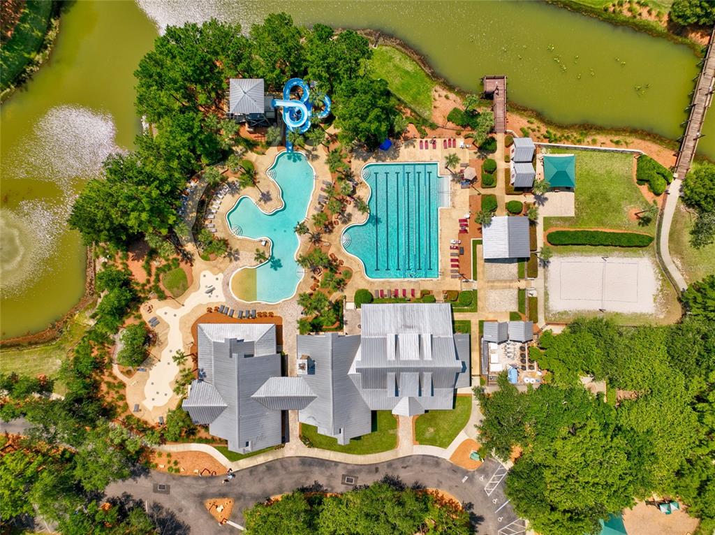 A swimming pool with a blue water slide and palm trees in a wooded area — 741 FLOWERS STREET, ST AUGUSTINE, FL